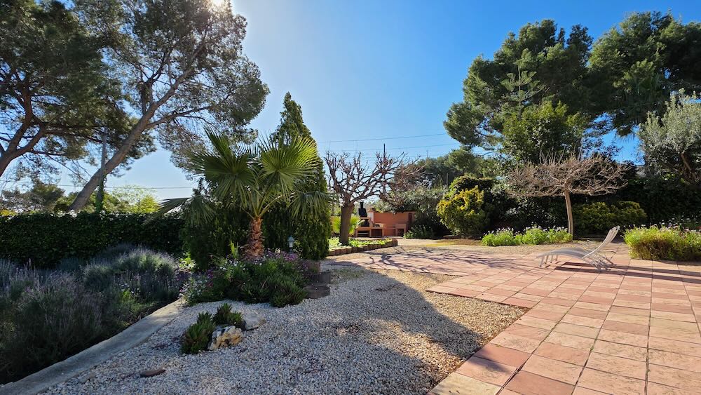 Property 2479 - Image 11